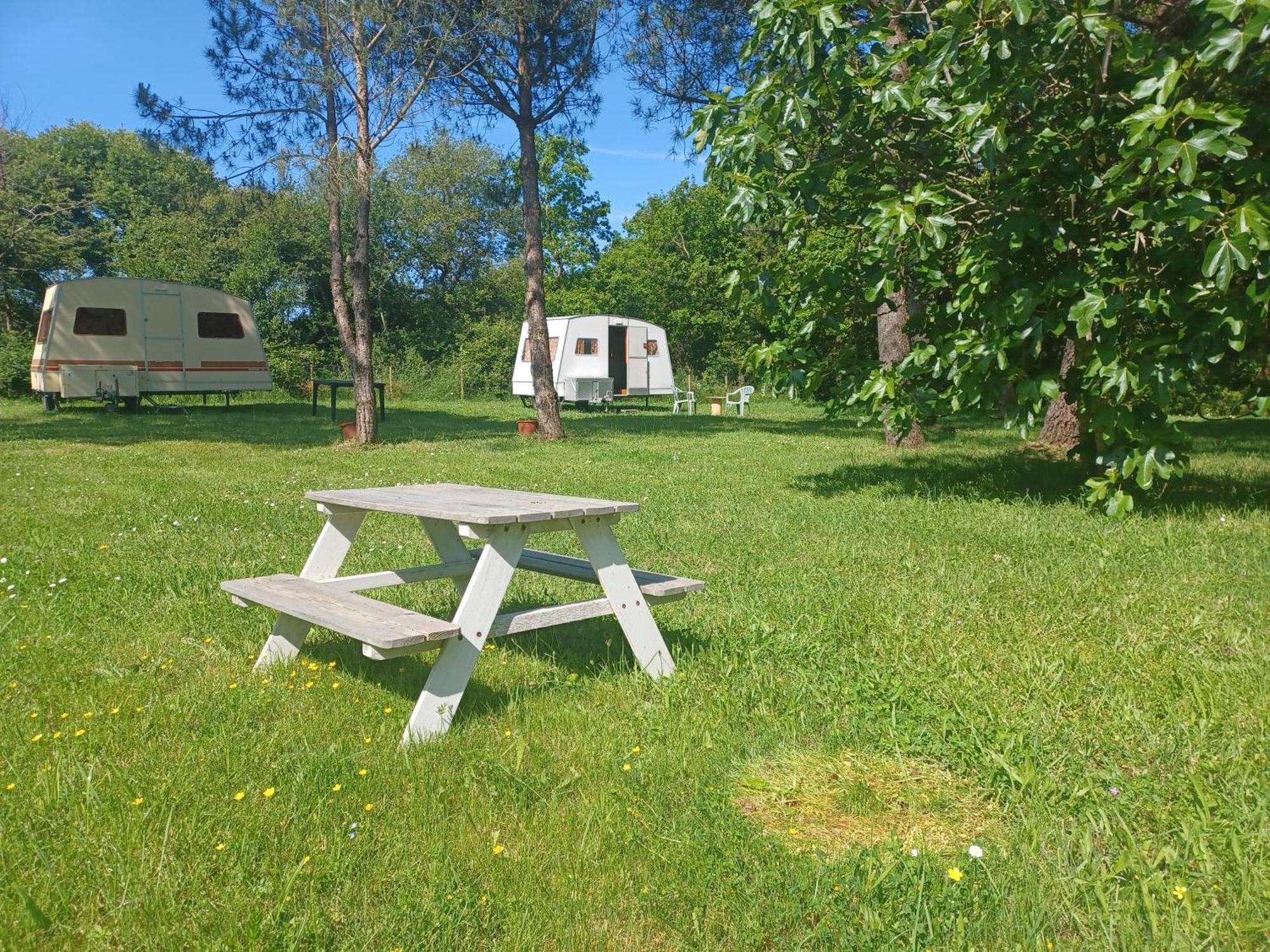 Campsite Caravane Vintage
